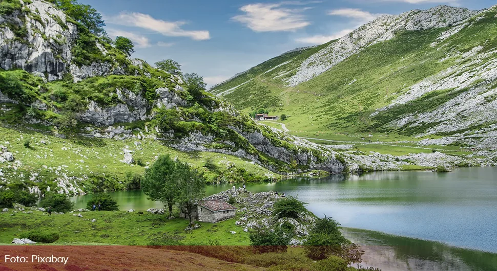 priroda suma jezero.webp